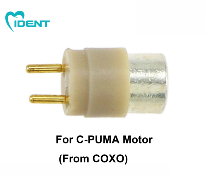 Dental LED Bulb Replacement fit Kavo NSK COXO Bien Air Star Handpiece Coupler GS/GW/GN/GK - Image 3