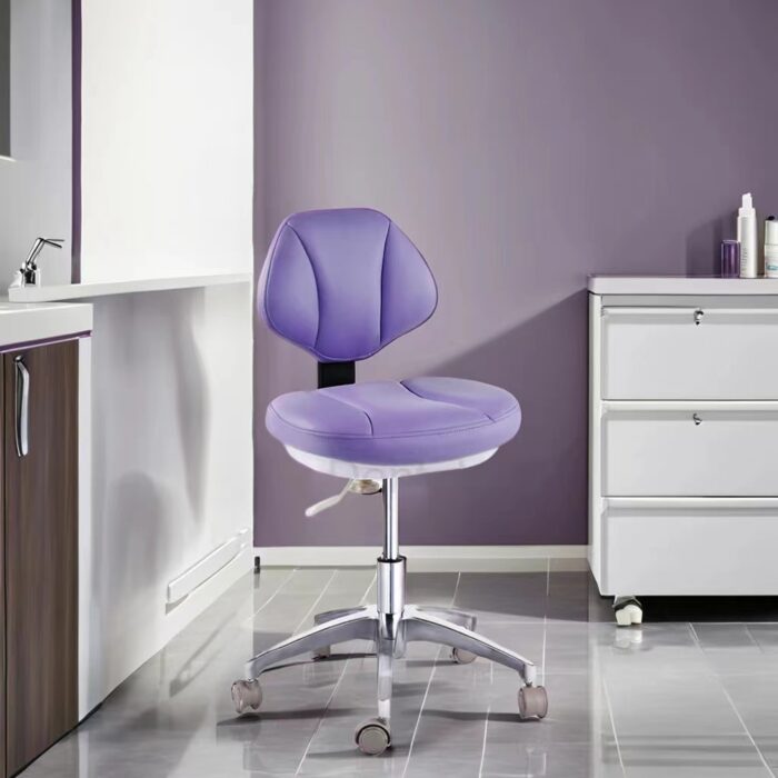 Chair for Beauty Salons White Color PU Leather Dental Dentist Stool Salon Furniture Dentist chair - Image 3
