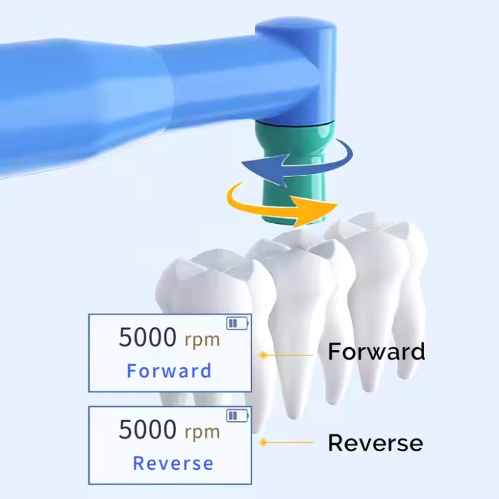 Cordless Brushless Hygiene Dental polishing/Prophy Handpiece Dental Polisher - Image 3