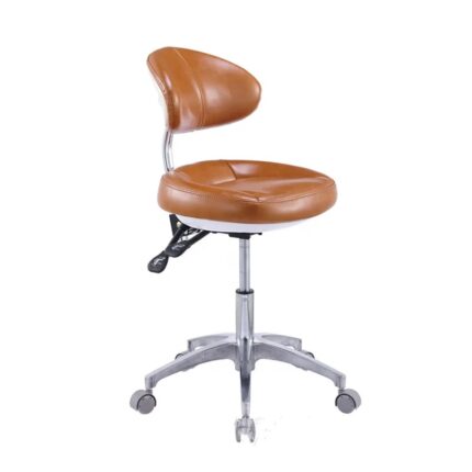 Doctor Assistant Chair Surgical Mobile Dentist Nurse Stool