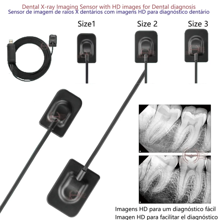 2024 Hot Sale RVG Dental Sensor with Holder Faster/Recycle/Durable USB Dental X Ray Sensor IntraOral Camera Digital RVG Sensor