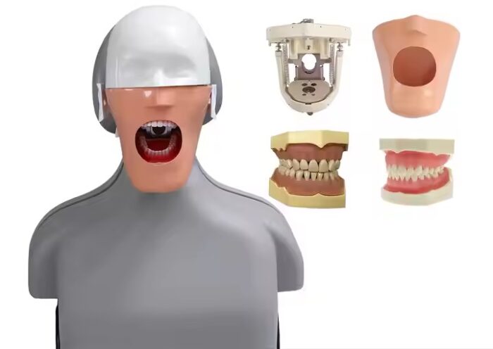 Dental Chair Simulator Medical University Dental Lab Education Dental Training Simulators Equipments - Image 2